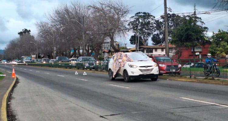 Fotografia vehiculo tiroteo concepcion maniobra adelantamiento