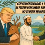 Plan de paz de Trump para Gaza: 20 puntos que buscan terminar la guerra y las primeras reacciones internacionales