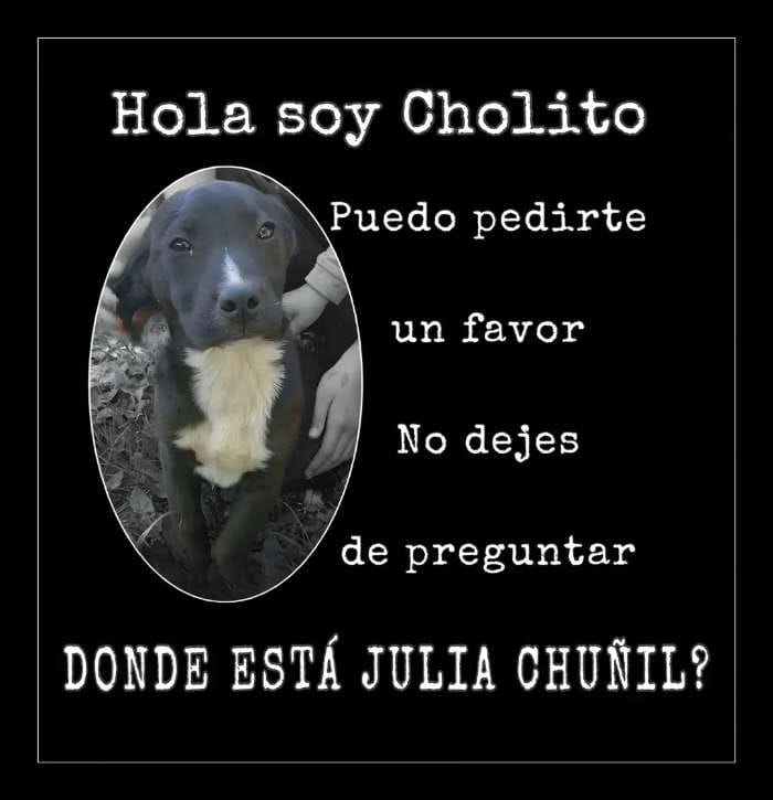 Cholito en redes sociales narrativa julia chuñil